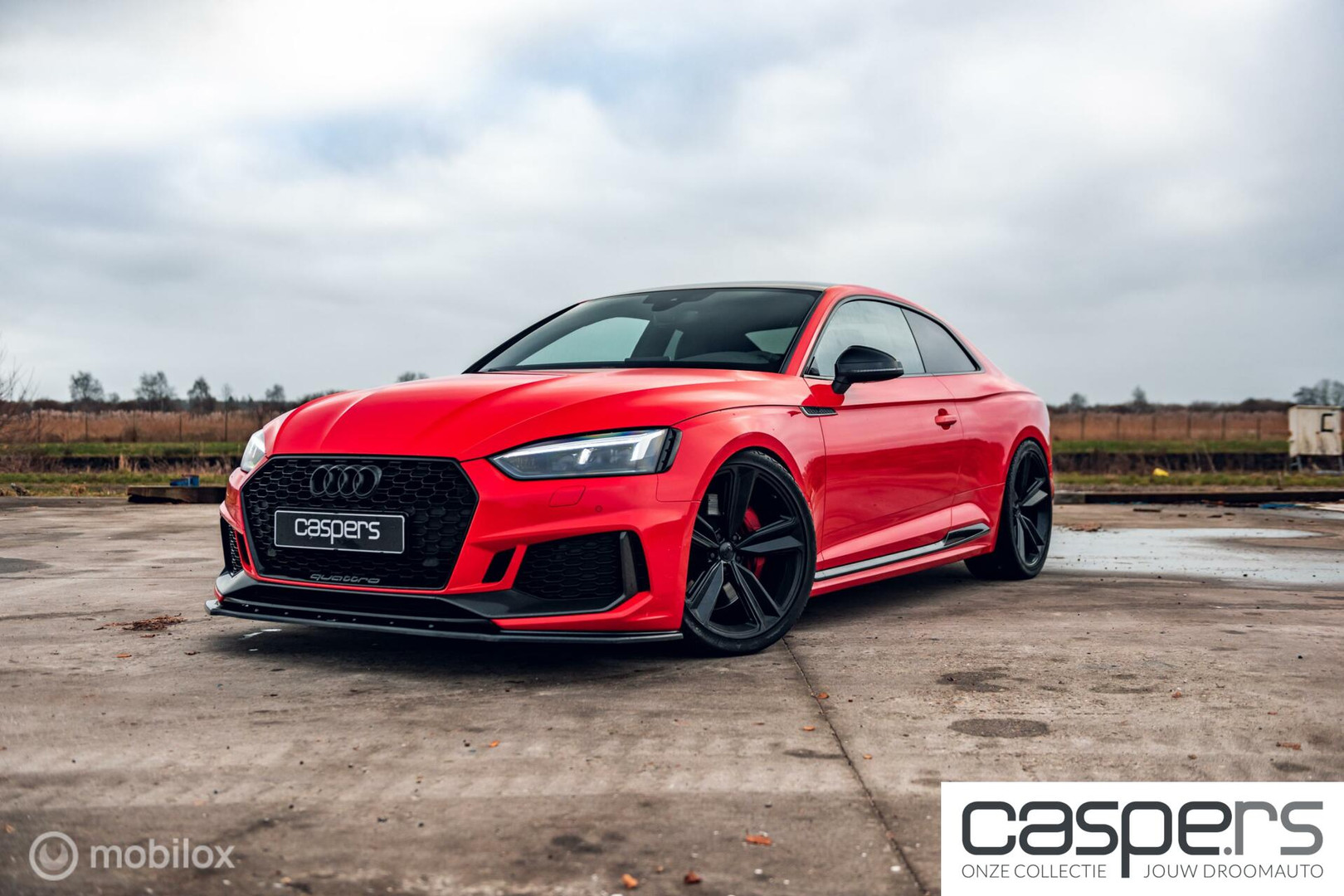 Audi RS5