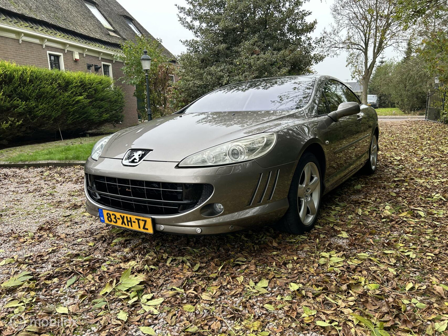 Peugeot 407