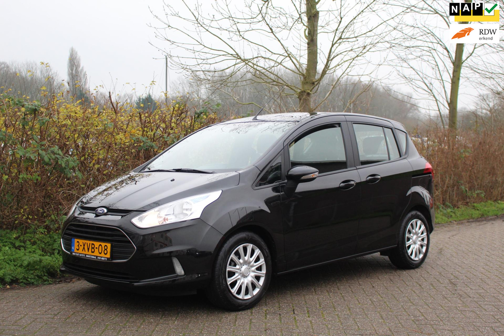 Ford B-MAX