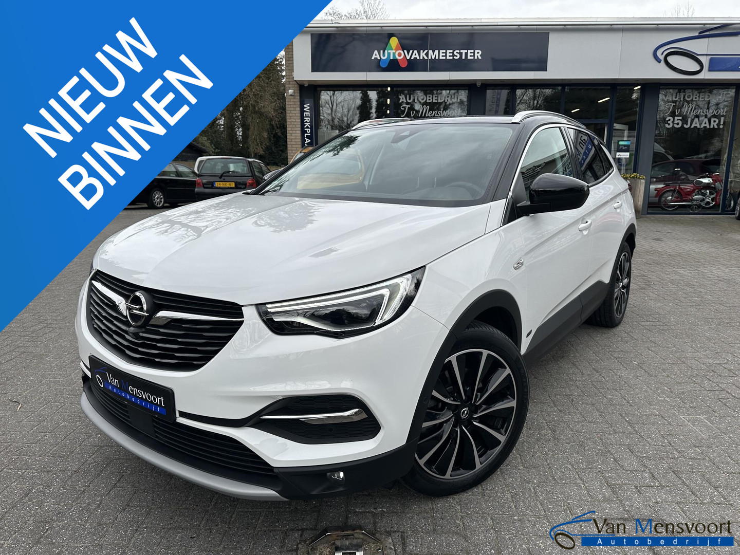 Opel Grandland X